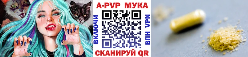 Alfa_PVP СК КРИС  Плёс 