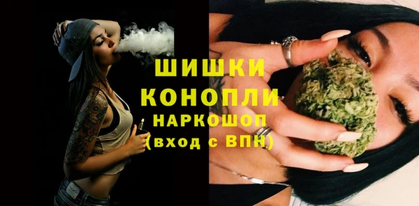 ECSTASY Гусь-Хрустальный