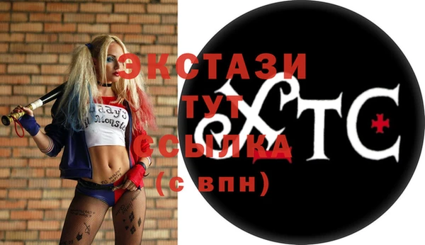 ECSTASY Гусь-Хрустальный