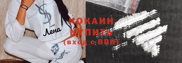 крисы Гусев