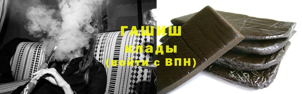 ECSTASY Гусь-Хрустальный