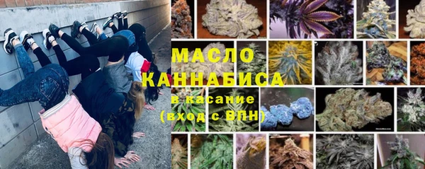 ECSTASY Гусь-Хрустальный