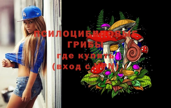 ECSTASY Гусь-Хрустальный