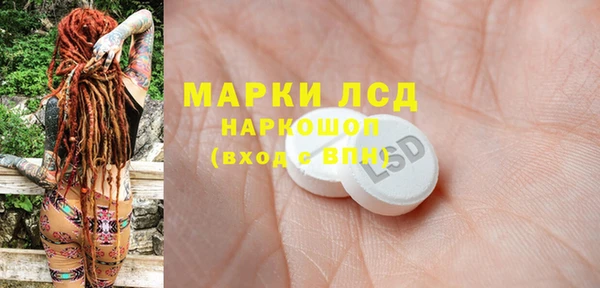 ECSTASY Гусь-Хрустальный