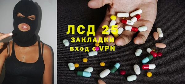 ECSTASY Гусь-Хрустальный