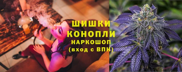 ECSTASY Гусь-Хрустальный