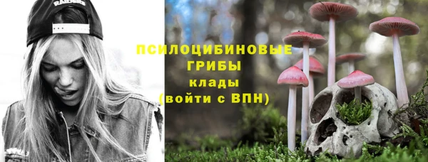ECSTASY Гусь-Хрустальный