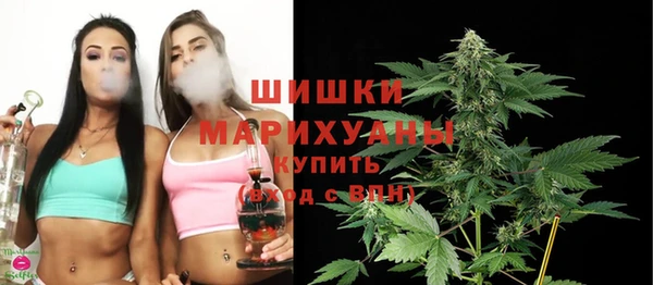 ECSTASY Гусь-Хрустальный