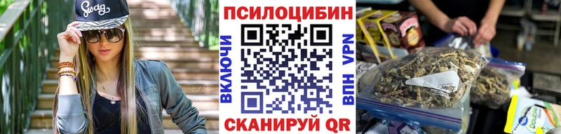 купить закладку Плёс Псилоцибиновые грибы мухоморы