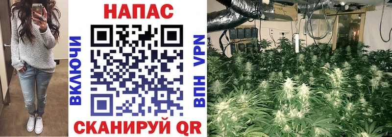 МАРИХУАНА Amnesia  Плёс 